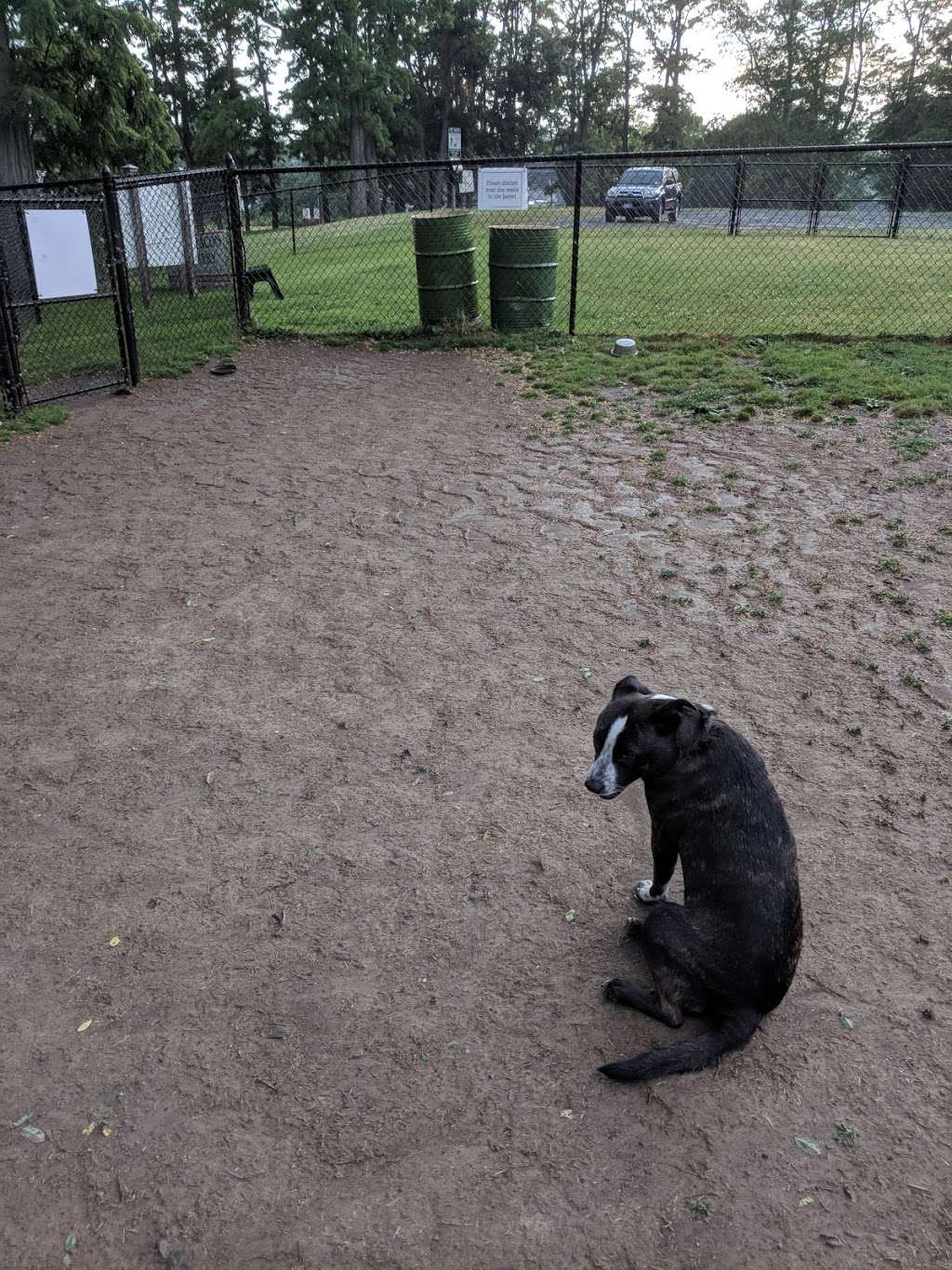 Friends of Beacon Dog Park | 195 Robert Cahill Dr, Beacon, NY 12508 | Phone: (845) 445-7595