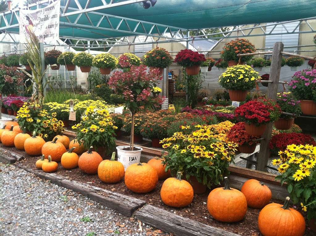 Sunny Garden Greenhouses | 2238 NY-9D, Wappingers Falls, NY 12590, USA | Phone: (845) 297-4400