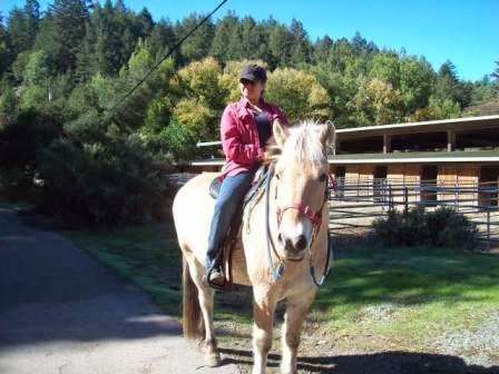 Dougherty Ranch Horse Boarding, Lessons & Training | 700 Nicasio Valley Rd, Nicasio, CA 94946, USA | Phone: (415) 662-2031