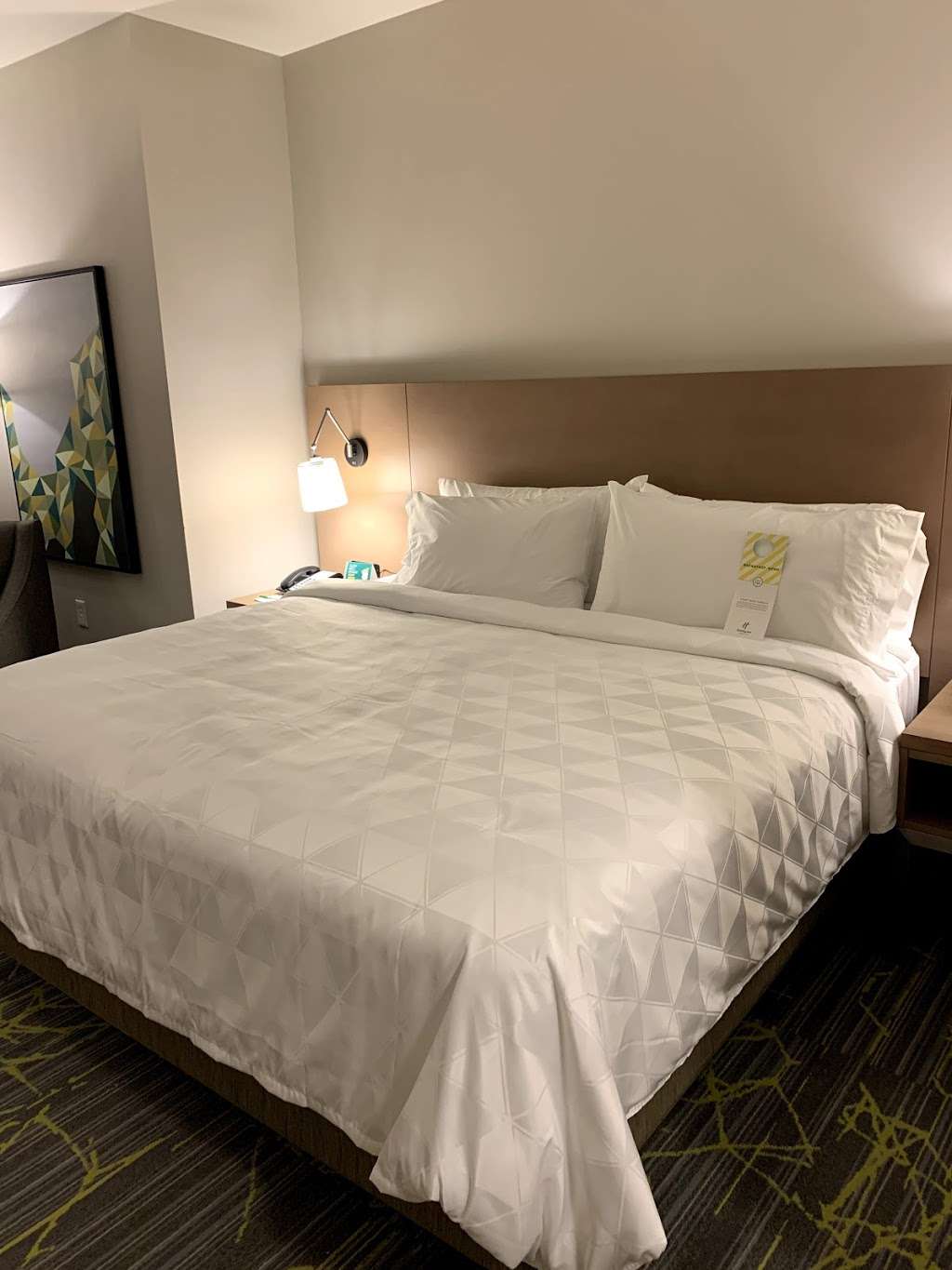 holiday inn express | 9449 Grant Rd, Houston, TX 77070