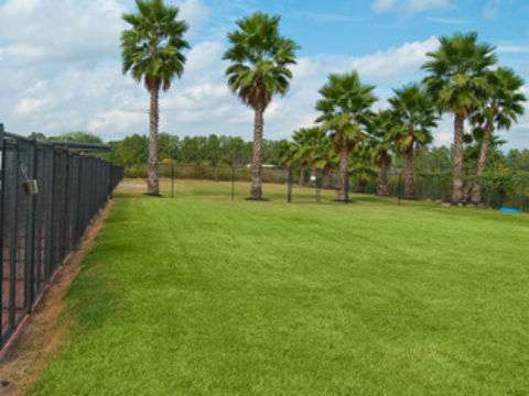 Longwood Animal Hospital and Pet Resort | 14134 Huffmeister Rd, Cypress, TX 77429, USA | Phone: (281) 213-0225