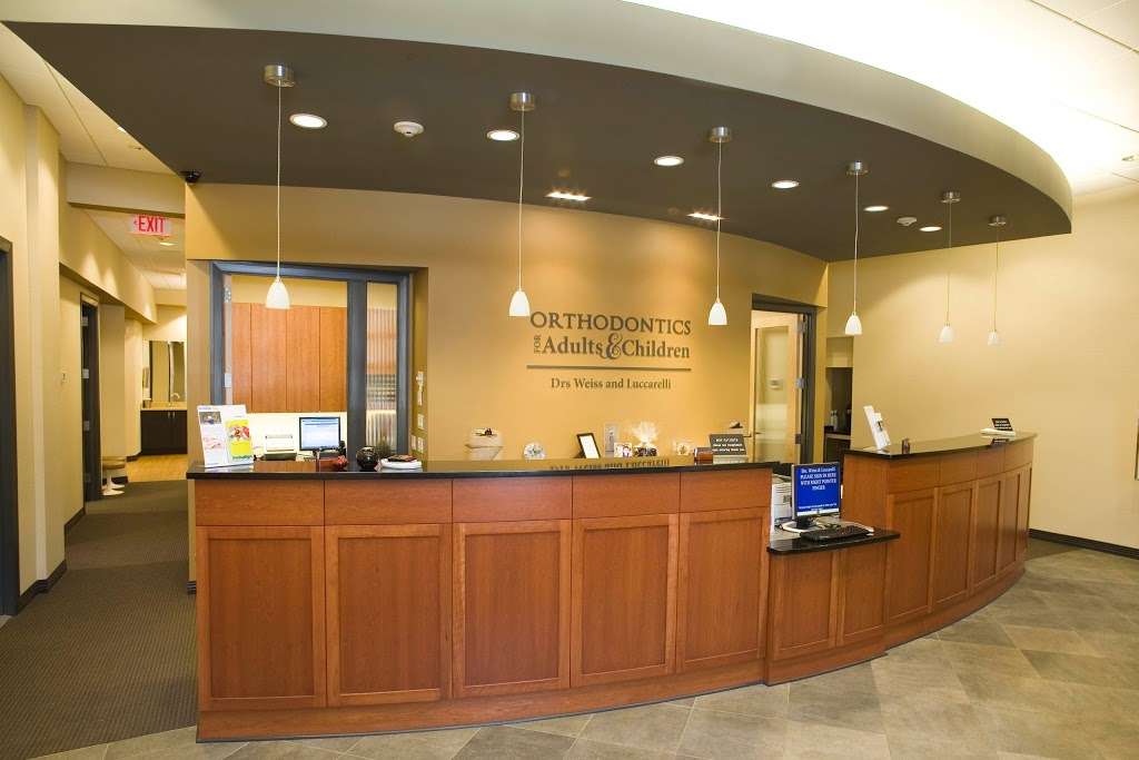 Luccarelli & Barrese Orthodontics | 51 Charles St, Mineola, NY 11501, USA | Phone: (516) 746-3204