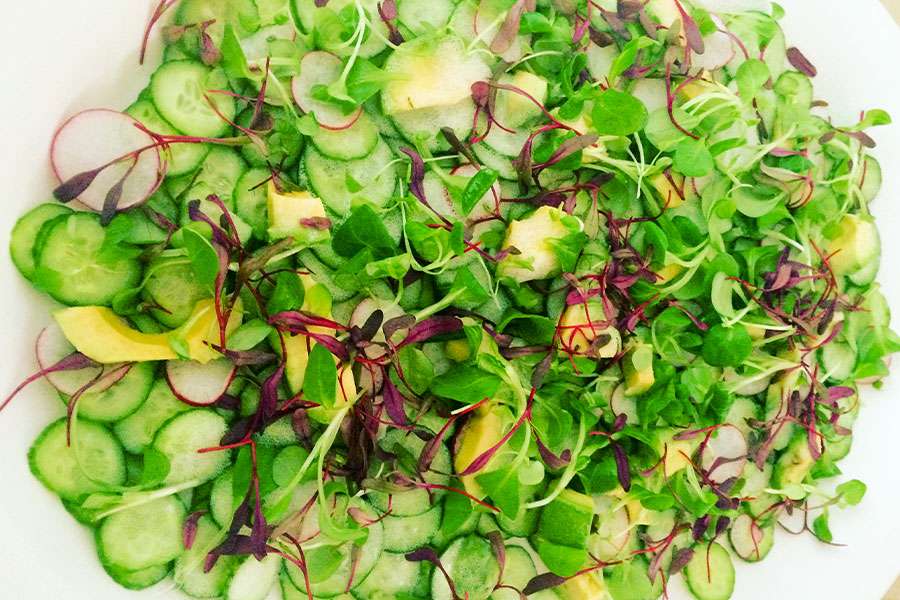 Promises Malibu | 20723 Rockcroft Dr, Malibu, CA 90265, USA | Phone: (310) 695-1708