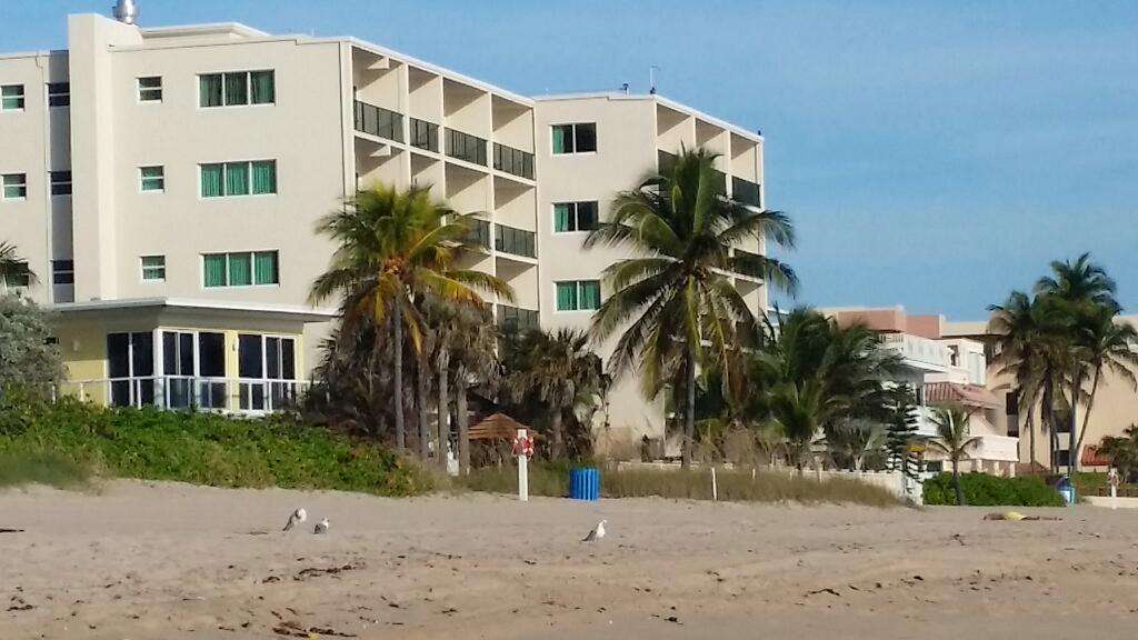 Sea Lord Hotel | 4140 El Mar Dr, Lauderdale-By-The-Sea, FL 33308 | Phone: (954) 776-1505