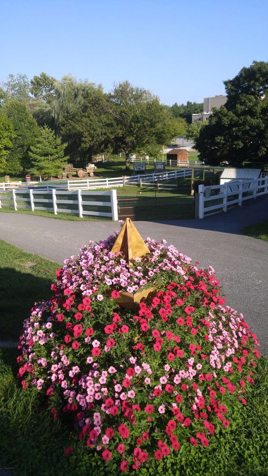 Old Order Amish Tours | 63 Eastbrook Rd, Ronks, PA 17572 | Phone: (717) 299-6535