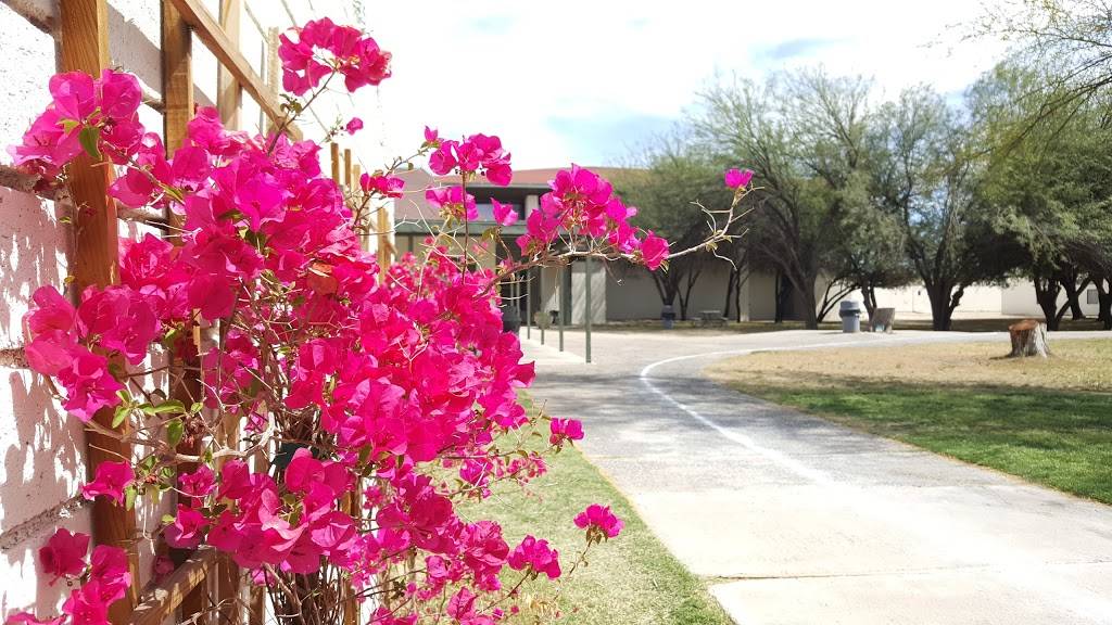 Green Fields School | 6000 N Camino De La Tierra, Tucson, AZ 85741, USA | Phone: (520) 297-2288