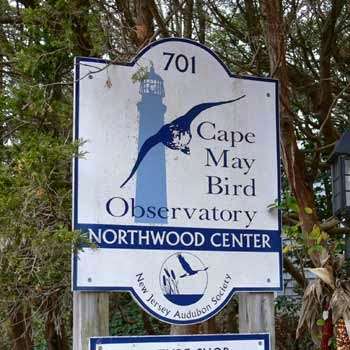 Cape May Bird Observatory - Northwood Center | 701 E Lake Dr, Cape May Point, NJ 08212 | Phone: (609) 400-3868