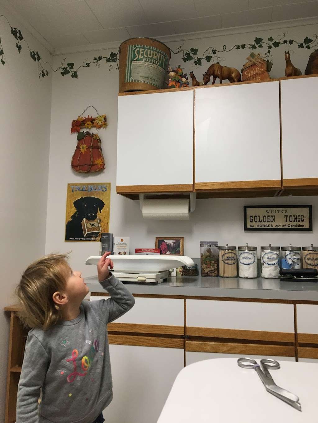 Family Veterinary Services | 402 US-206, Montague Township, NJ 07827, USA | Phone: (973) 293-7486