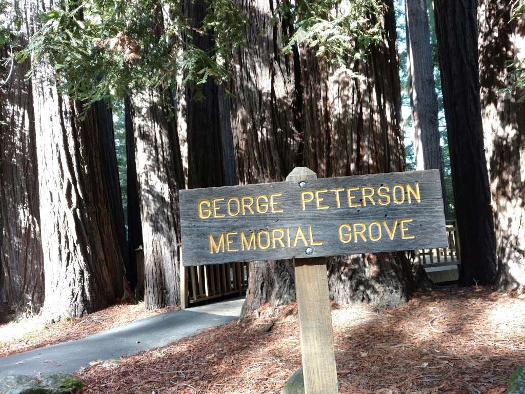 Sequoia/Peterson Grove Picnic Area | Saratoga, CA 95070, USA | Phone: (408) 867-9959