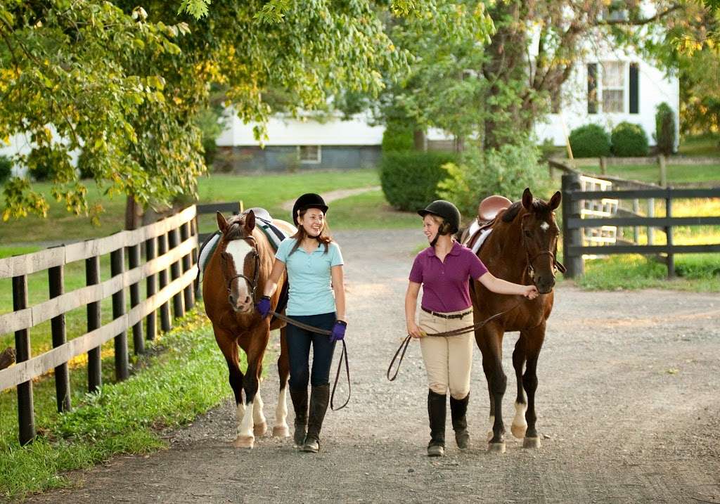 Potomac Riverside Stables | 17224 Elmer School Rd, Dickerson, MD 20842 | Phone: (301) 972-8187