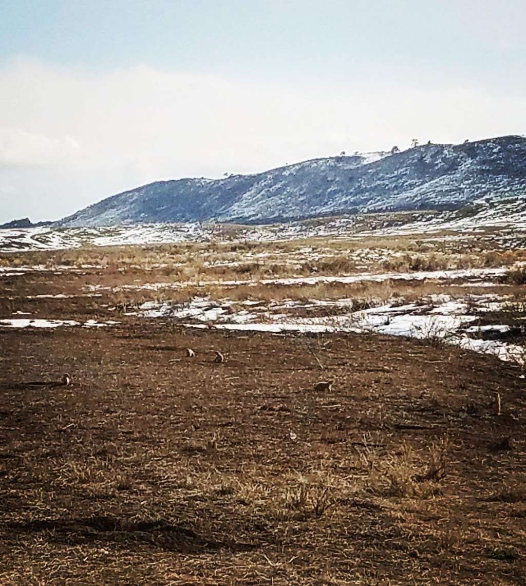 Coyote Ridge Trail Parking | Coyote Ridge Trail, Fort Collins, CO 80526, USA