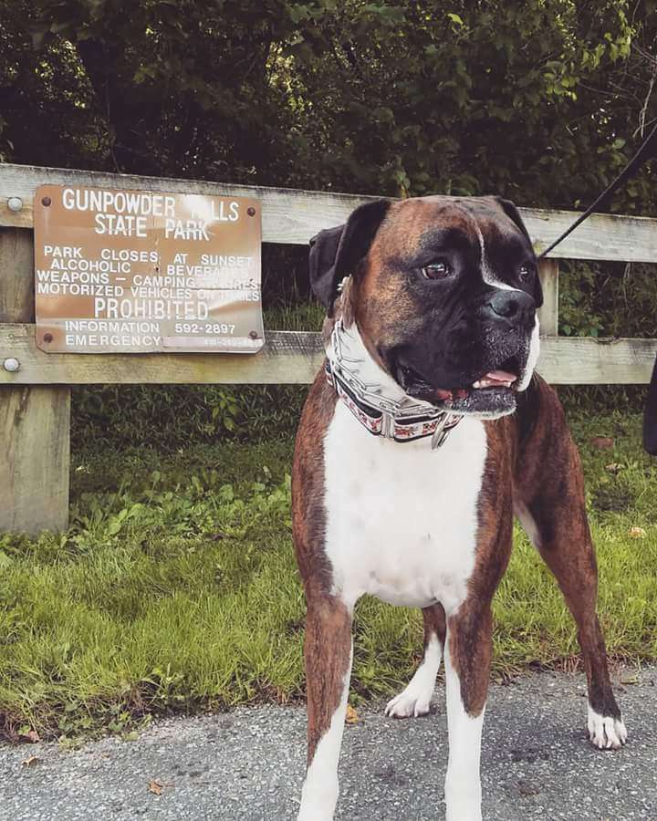 Gunpowder Falls State Park Hereford Area | 17910 York Rd, Parkton, MD 21120, USA | Phone: (410) 592-2897