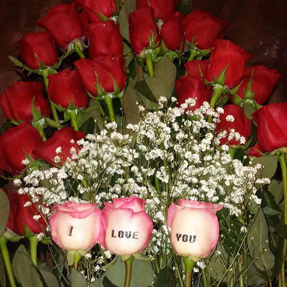 1millionroses.com | 2540 N Jerusalem Rd, North Bellmore, NY 11710, USA | Phone: (516) 668-2756