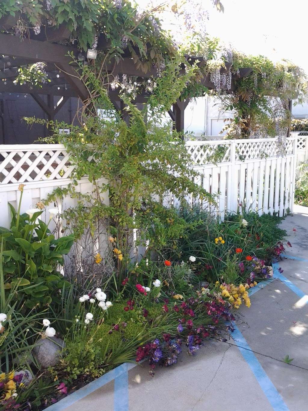 Whimsy Salon & Garden | 1611 S Catalina Ave L40, Redondo Beach, CA 90277, USA | Phone: (310) 543-4715