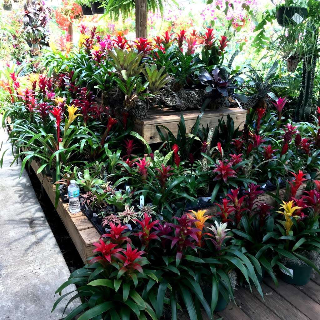 Johnny Mangos Garden Center | 2708 N Federal Hwy, Delray Beach, FL 33483, USA | Phone: (561) 276-4424