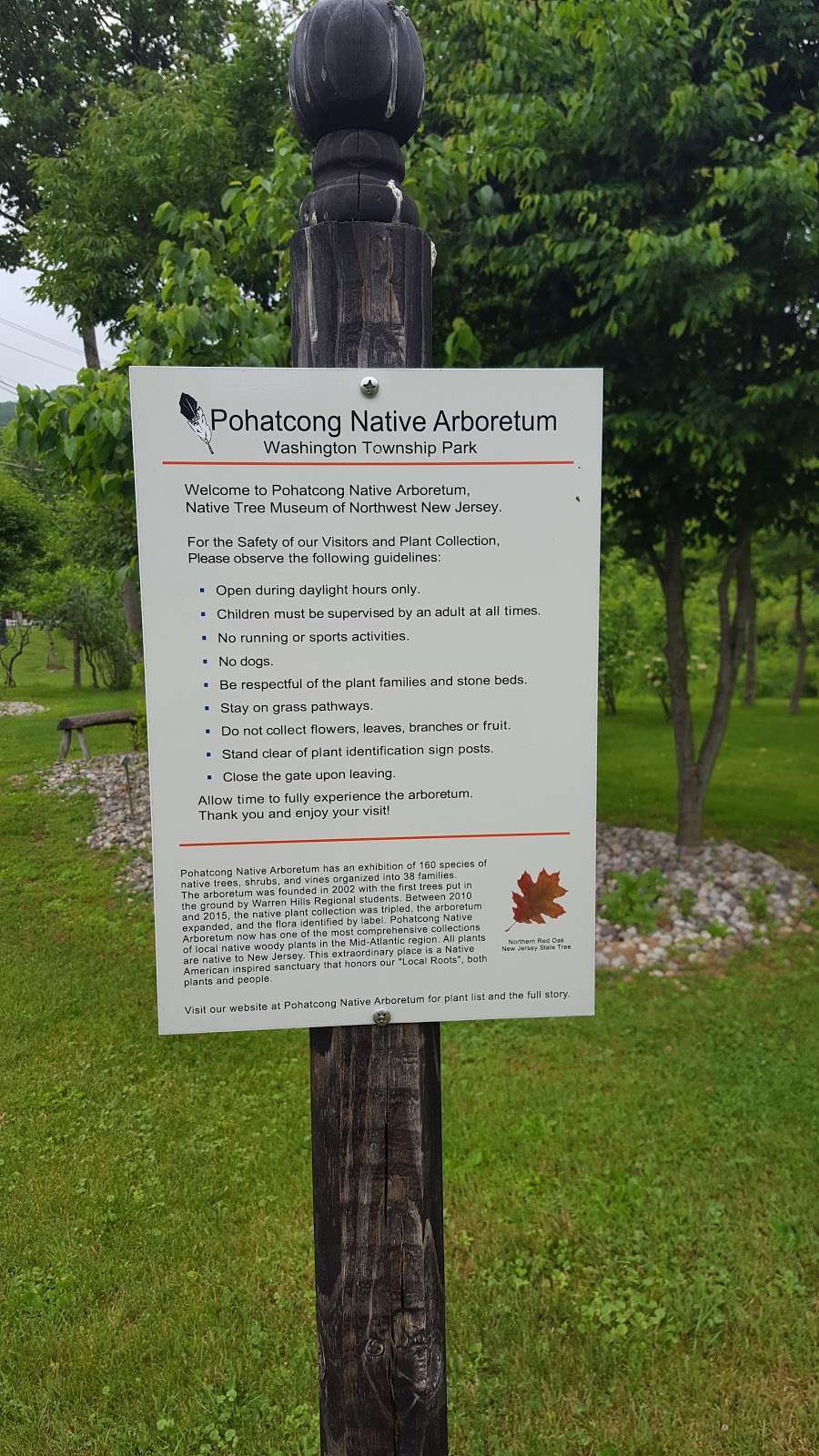 Pohatcong Native Arboretum | 52 Mine Hill Rd, Washington, NJ 07882