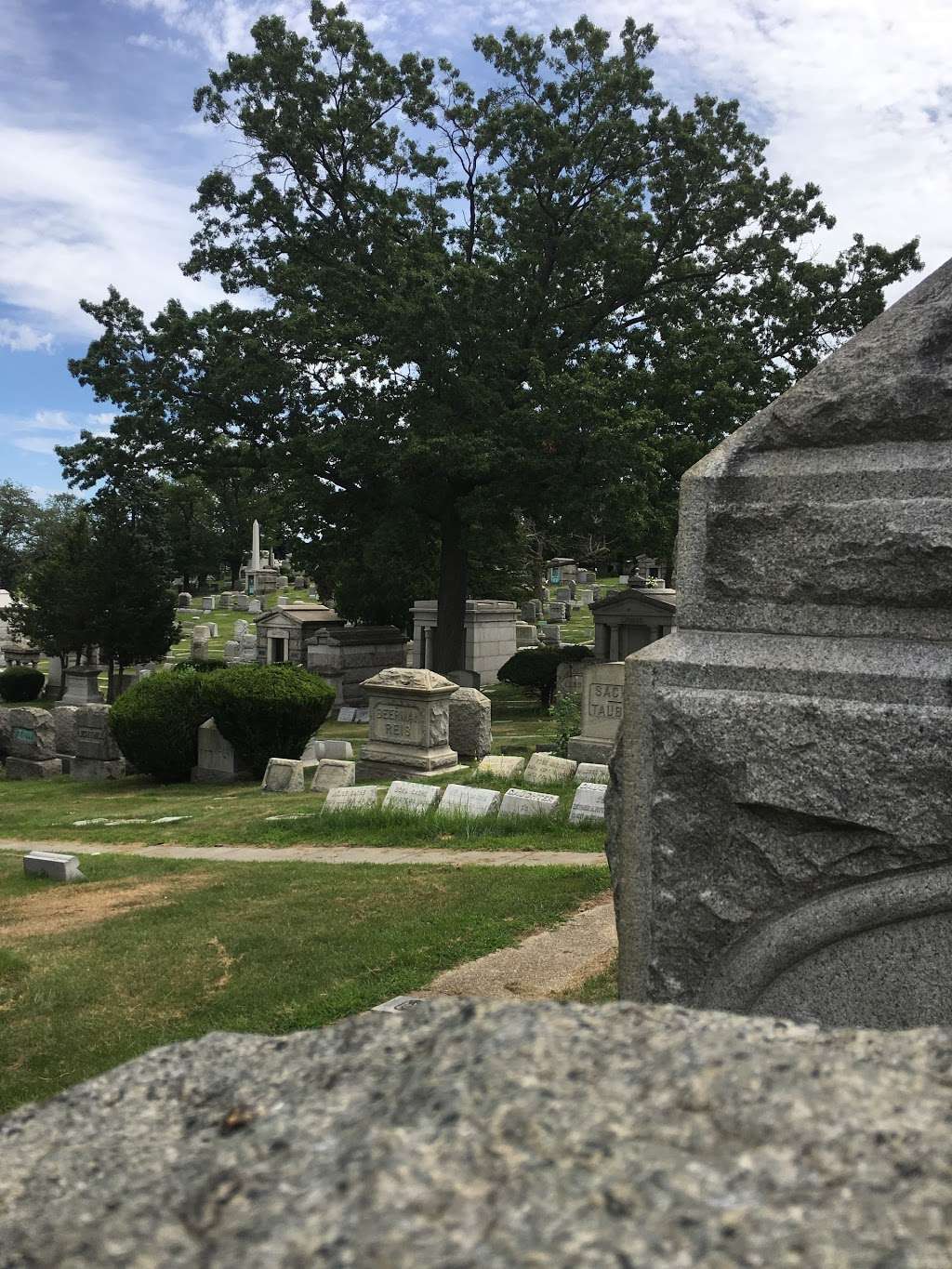 Mount Carmel Cemetery | 83-45 Cypress Hills St, Glendale, NY 11385, USA | Phone: (718) 366-5900