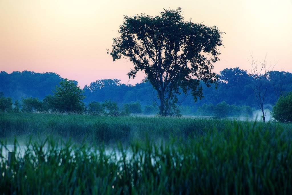 Eagle Marsh Nature Preserve | 6801 Engle Rd, Fort Wayne, IN 46804, USA | Phone: (260) 478-2515