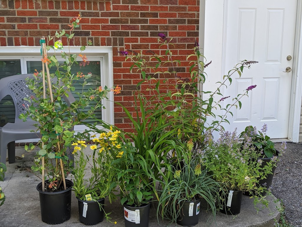 Stephenson Garden Center & Nursery 8136 Dixie Hwy, Louisville, KY