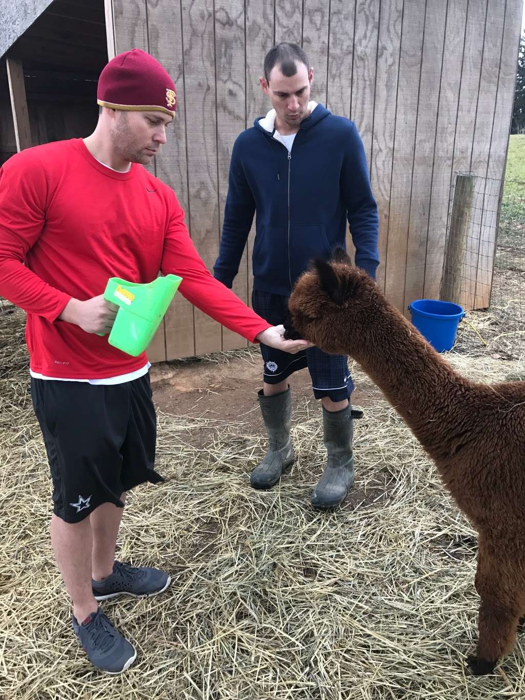 Three Oaks Farm Alpacas | 1437 Sharon Acres Rd, Forest Hill, MD 21050 | Phone: (443) 310-0143