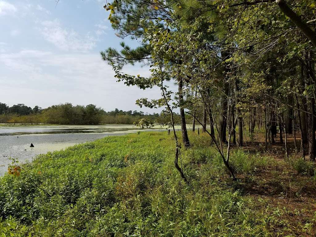 Lakeside Park | 5001 South Alden Bridge Drive, The Woodlands, TX 77382, USA | Phone: (281) 210-3900
