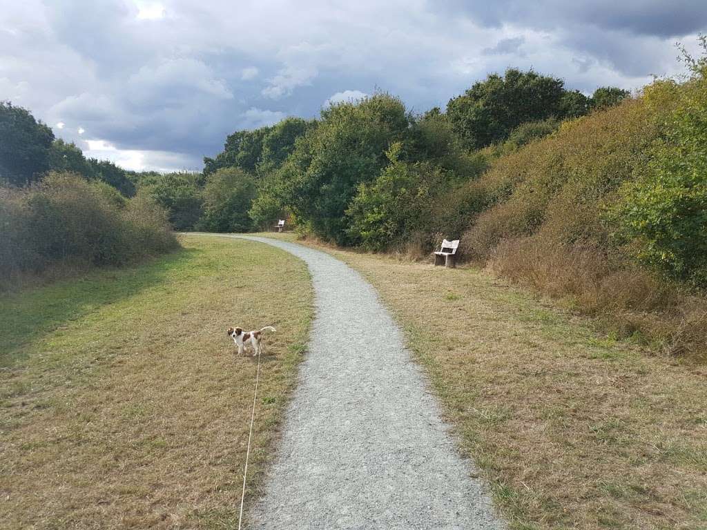 Noak Bridge Nature Reserve | Eastfield Rd, Basildon SS15 5GT, UK | Phone: 01268 562921