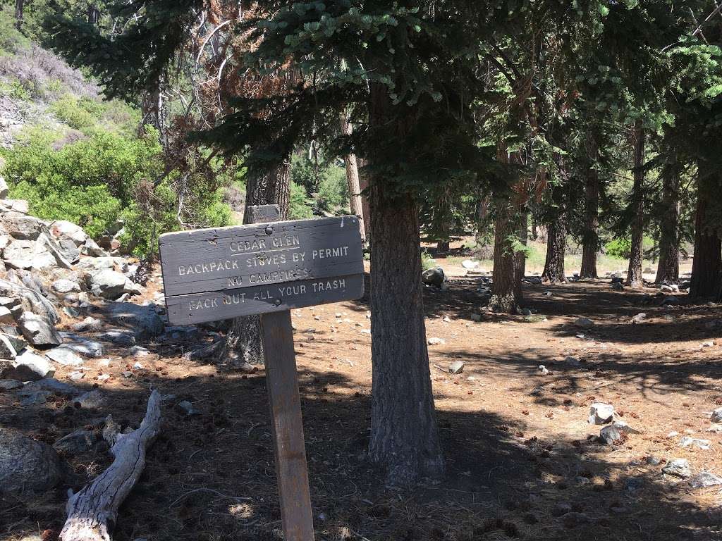 Cedar Glen | Mt Baldy, CA 91759, USA