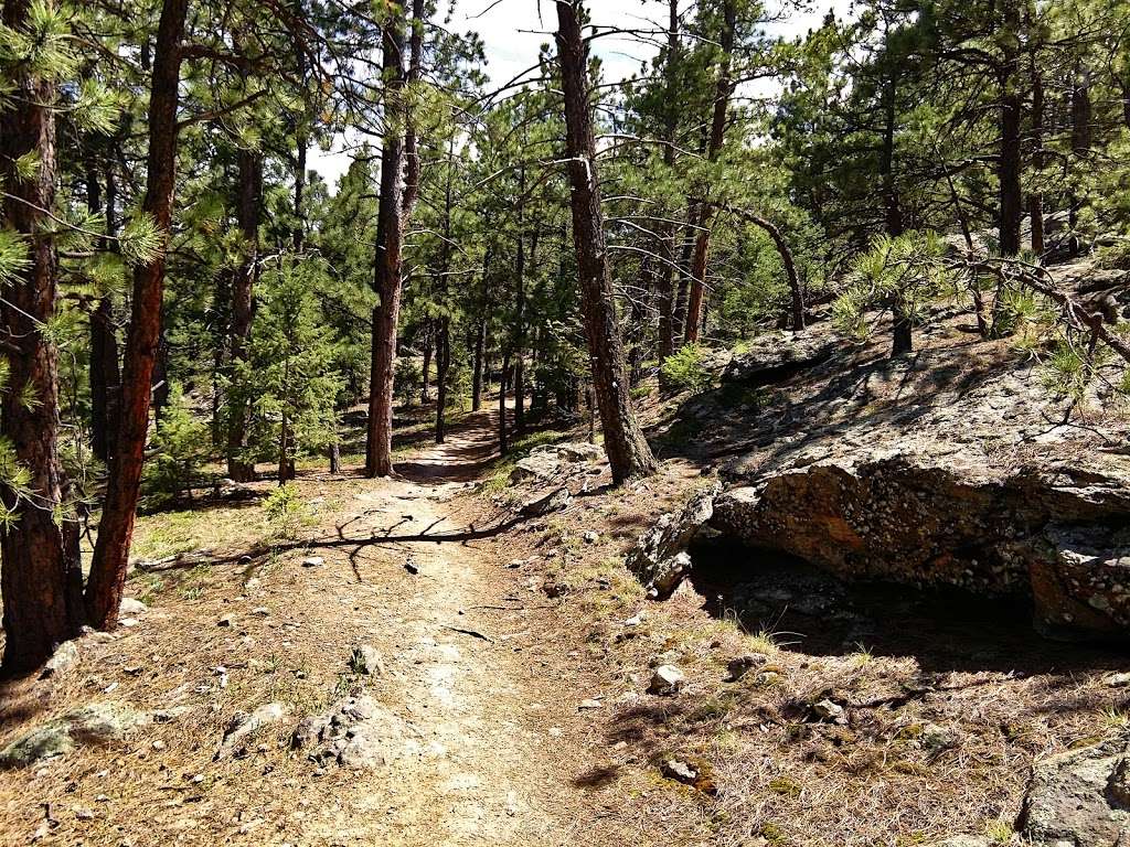 Mountain Muhly Trail | Unnamed Road, Evergreen, CO 80439, USA