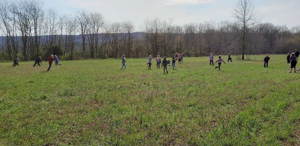 Stauffers Marsh Nature Preserve | Back Creek Valley Rd, Hedgesville, WV 25427, USA | Phone: (681) 252-1387