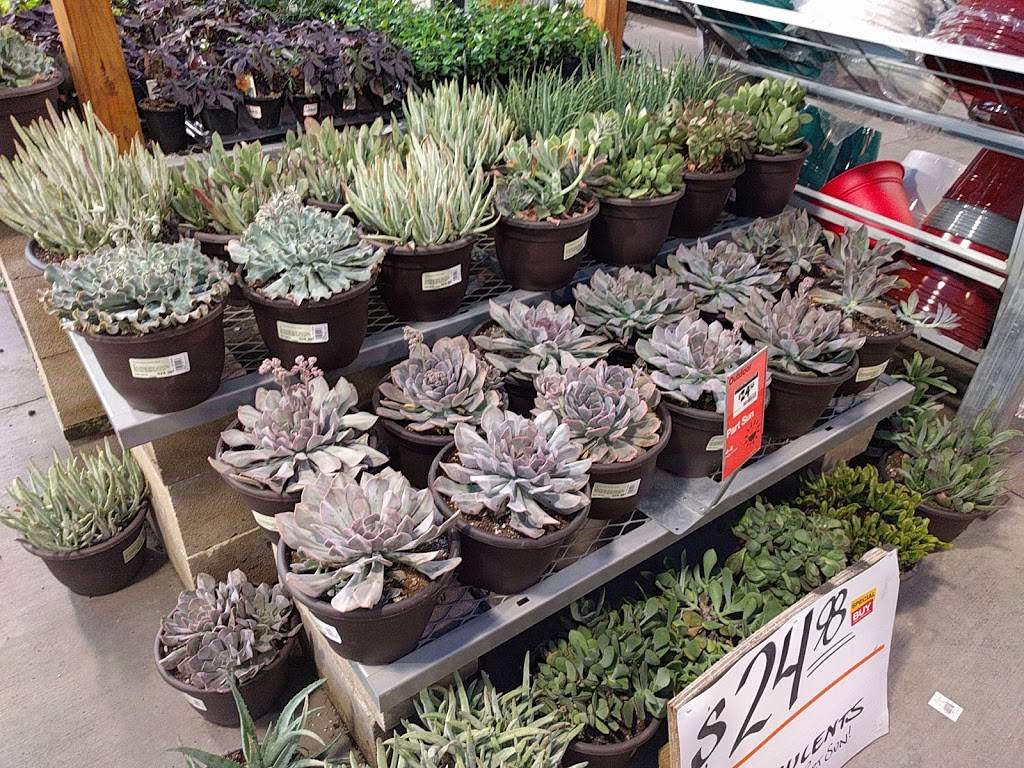 Garden Center at The Home Depot | 12721 Atlantic Blvd, Jacksonville, FL 32225, USA | Phone: (904) 220-0822