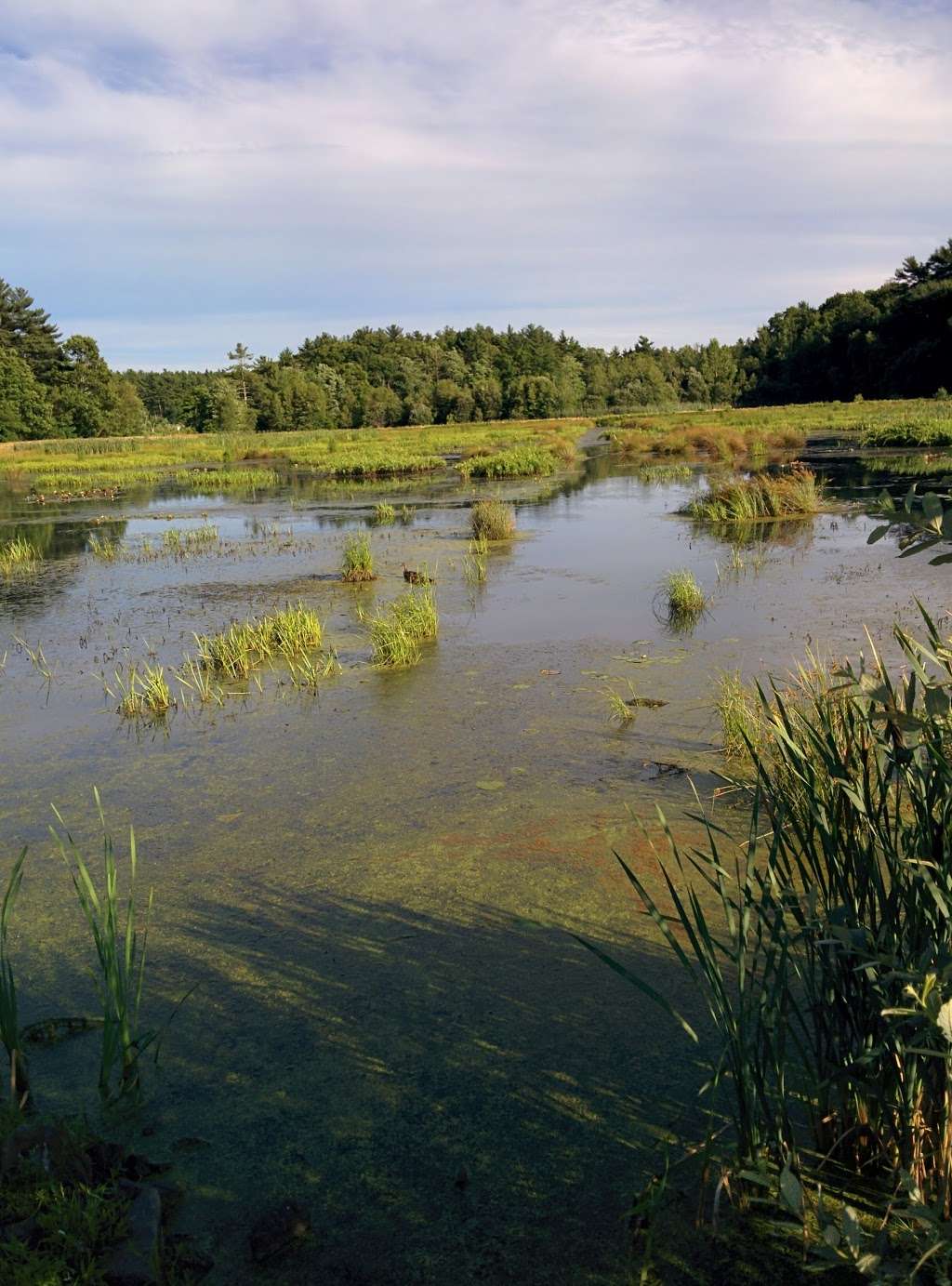 Crowell Conservation Area | 225 Lincoln St, Duxbury, MA 02332, USA