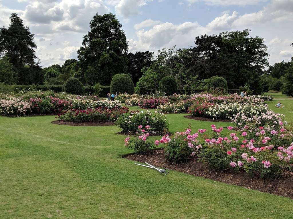 Rose Garden | 3EF, Syon Vista, Richmond TW9 3EG, UK