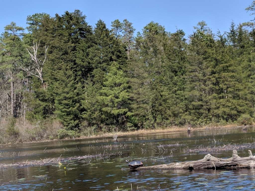 Natures Way Canoe & Kayak | 2540 Mountain View Drive, ( Near Lake Nockamixon ), Ottsville, PA 18942 | Phone: (215) 536-8964