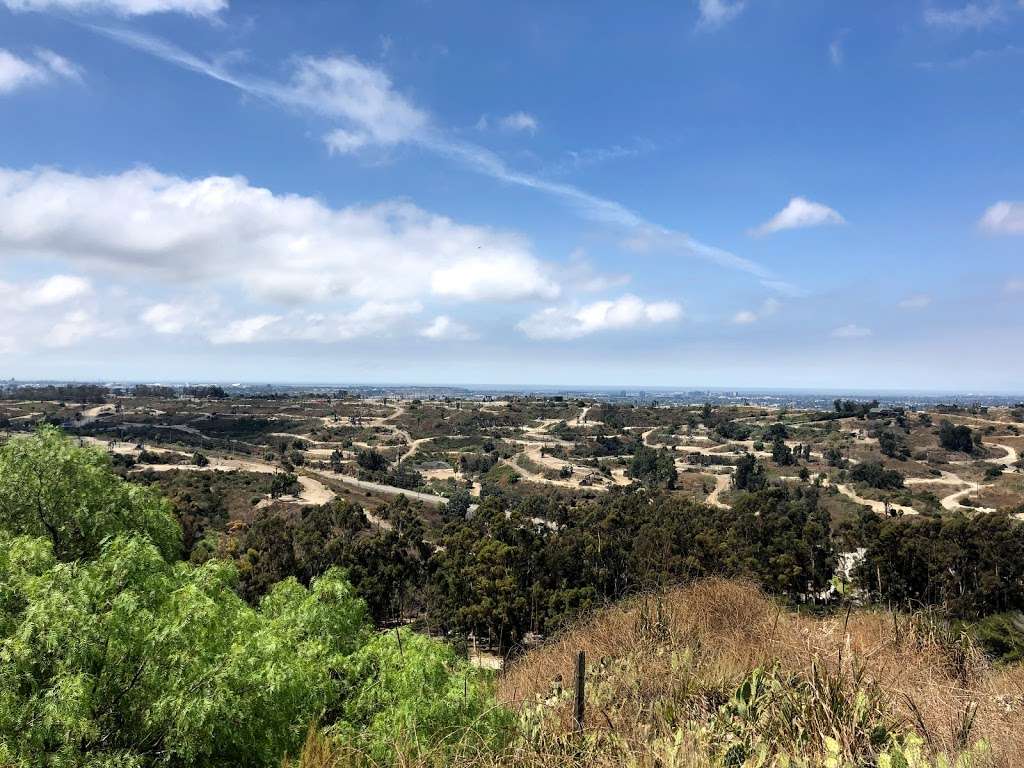 Dr. Martin Luther King, Jr. Memorial Tree Grove | 4100 S La Cienega Blvd, Los Angeles, CA 90056, USA