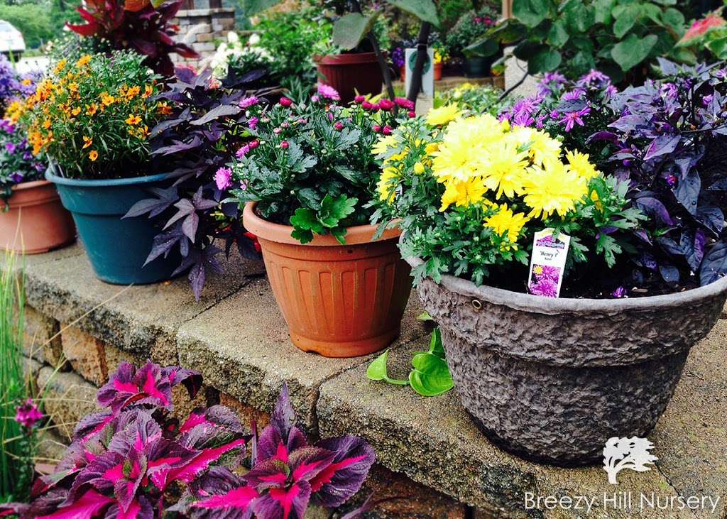 Breezy Hill Nursery, Inc | 7530 288th Ave, Salem, WI 53168, USA | Phone: (262) 537-2111