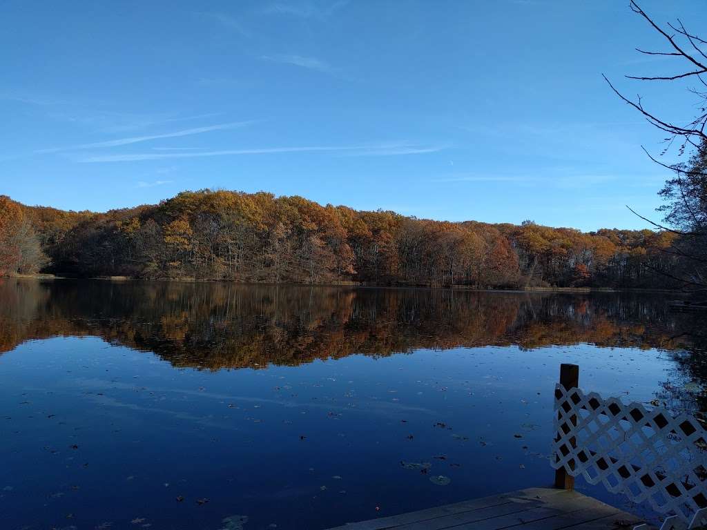 Stump Pond | Yellow Trail, Staten Island, NY 10306, USA