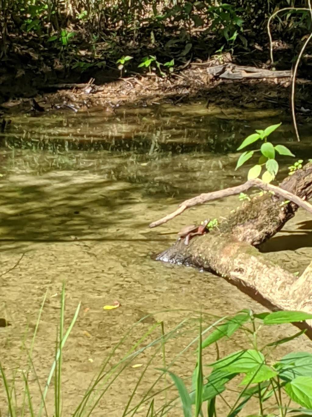 Mason Farm Biological Reserve | Chapel Hill, NC 27517, USA | Phone: (919) 962-0522