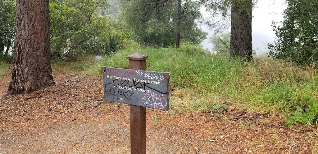 Sturtevant Falls Hiking Trailhead | Forest Rte 2N40, Arcadia, CA 91006