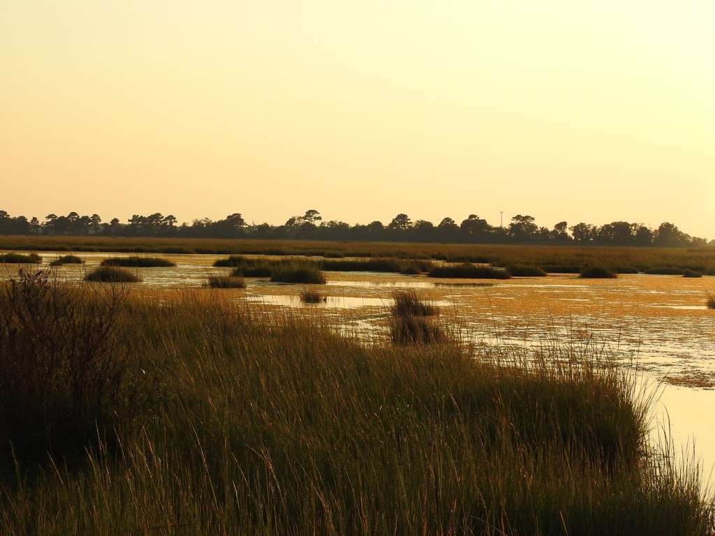 Deal Island State Wildlife Management Area | Dames Quarter, MD 21821, USA | Phone: (410) 543-8223