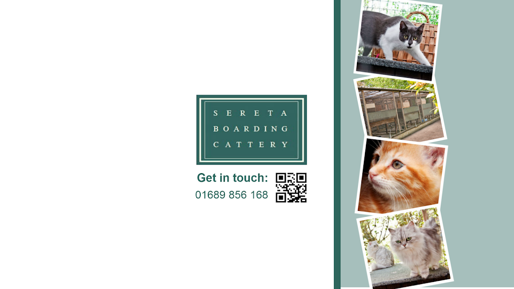 Sereta Boarding Cattery | 2, Crow Hill, Rookery Rd, Downe, Orpington BR6 7JE, UK | Phone: 01689 856168