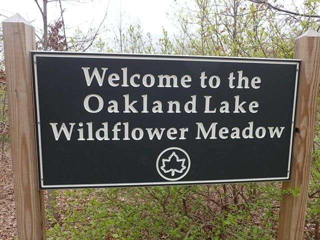 Oakland Lake Wildflower Meadow | 46th Ave &, Cloverdale Blvd, Bayside, NY 11364, USA | Phone: (212) 639-9675