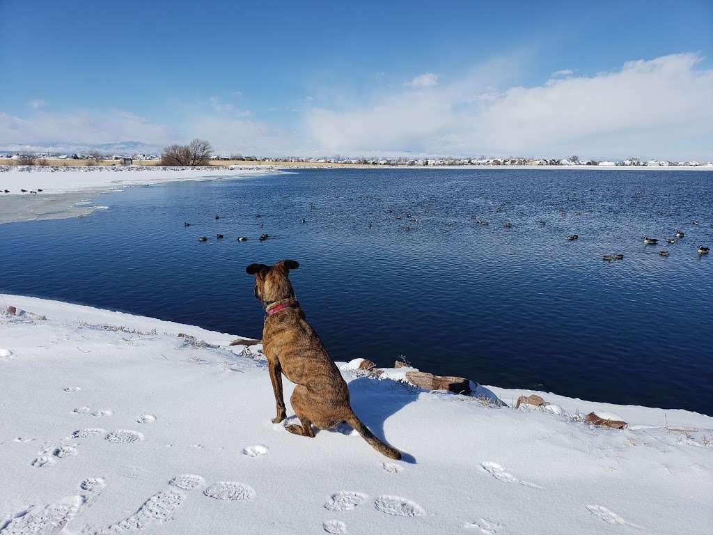 Mliavec Reservoir | Unnamed Road, 80504, Frederick, CO 80504, USA