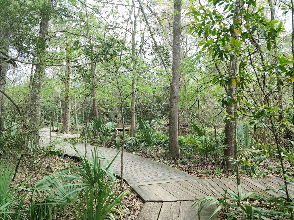 Edith L Moore Nature Sanctuary | 440 Wilchester Blvd, Houston, TX 77079 | Phone: (713) 932-1639