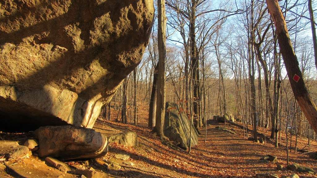 Betsy Sluder Nature Preserve | 11 Shippen Rd, Armonk, NY 10504, USA