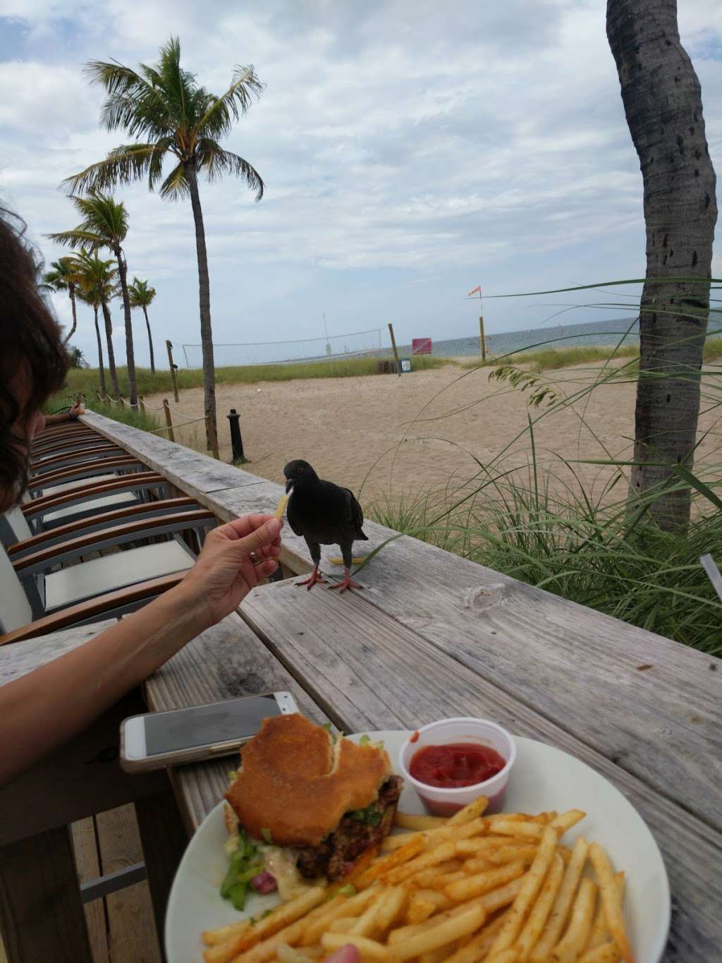 Backflip Beach Bar | 4660 El Mar Dr, Lauderdale-By-The-Sea, FL 33308, USA | Phone: (754) 200-3346