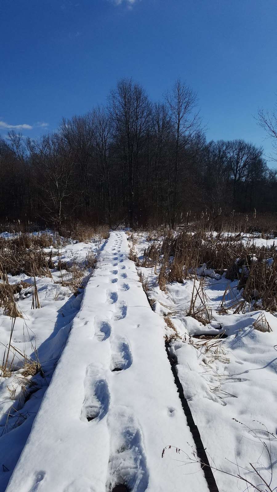 Great Swamp National Wildlife Refuge Wilderness | Green Village, NJ 07935