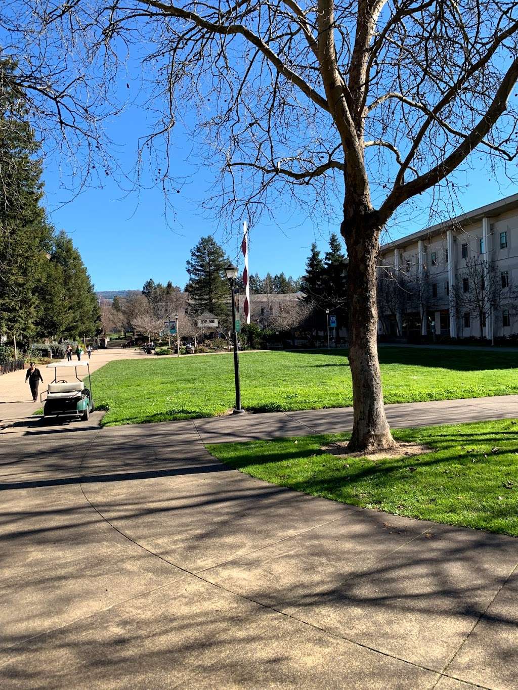 Sonoma State University | 1801 E Cotati Ave, Rohnert Park, CA 94928, USA | Phone: (707) 664-2880