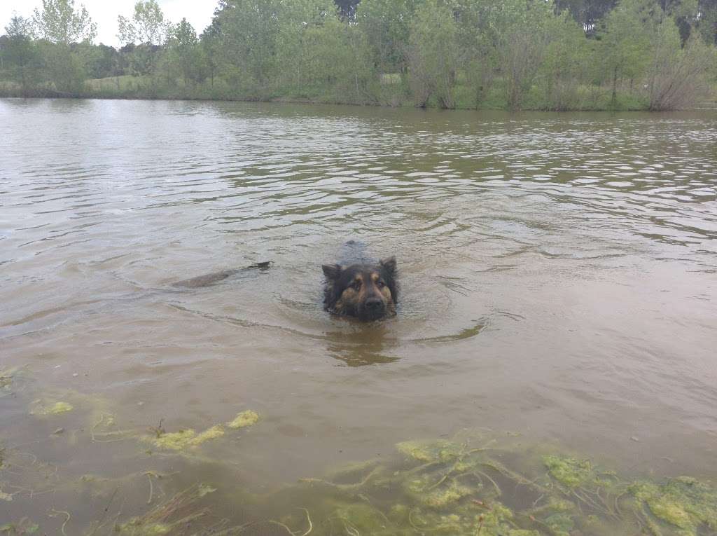 Keith-Wiess Park | 12300 Aldine Westfield Rd, Houston, TX 77093, USA | Phone: (832) 394-8805