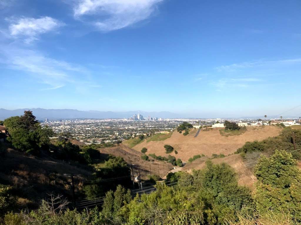 Dr. Martin Luther King, Jr. Memorial Tree Grove | 4100 S La Cienega Blvd, Los Angeles, CA 90056, USA