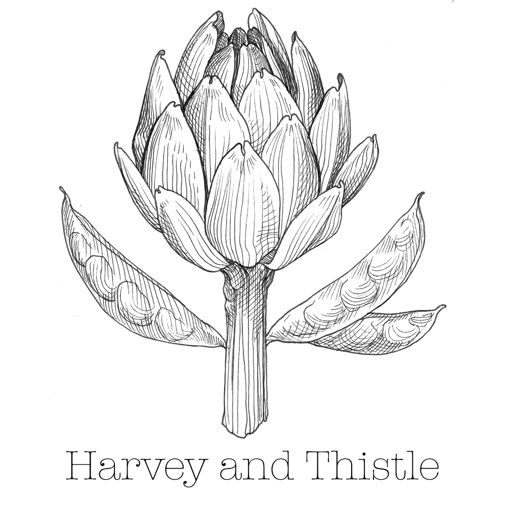 Harvey and Thistle | 742 Orchard St, Santa Rosa, CA 95404, USA | Phone: (802) 598-6235